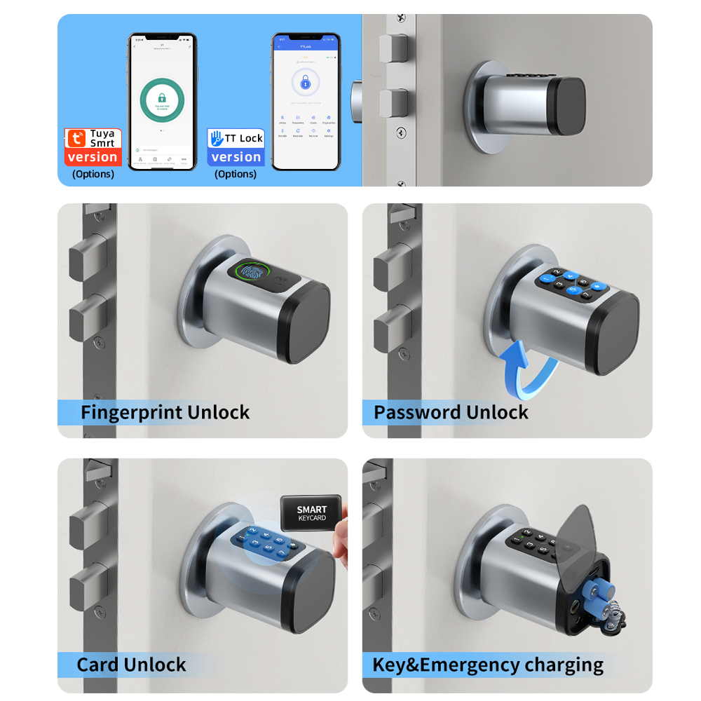 RAYKUBE V1 Tuya BLE TT Lock Sm - Home Security Keypad 评论和价格