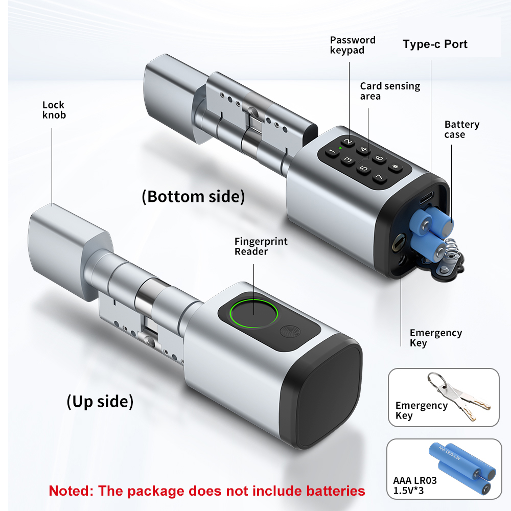 RAYKUBE V1 Tuya BLE TT Lock Sm - Home Security Keypad 评论和价格