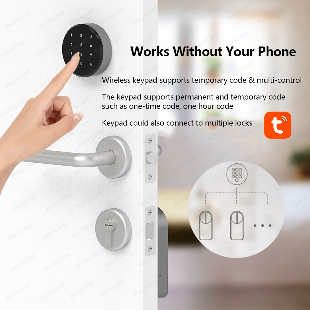 RAYKUBE A1 Pro Tuya BEL Smart  - Home Security Keypad 评论和价格