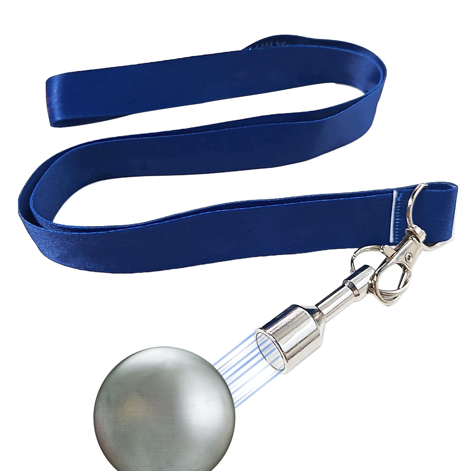 Bocce Balls Picker Set Secure  - Home Security Training 评论和价格